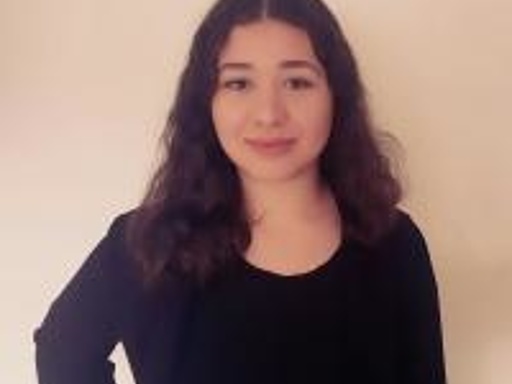 Vecihe