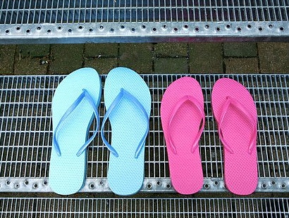 Gender Matters – wie Geschlecht unser Leben bestimmt 