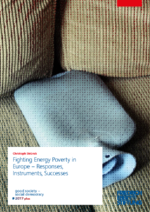 Fighting energy poverty in Europe - Responses, instruments, successes