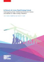 In pursuit of a low fossil energy future