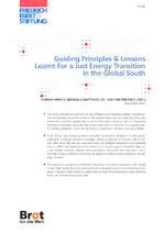 Guiding principles & lessons learnt for a just energy transition in the Global South